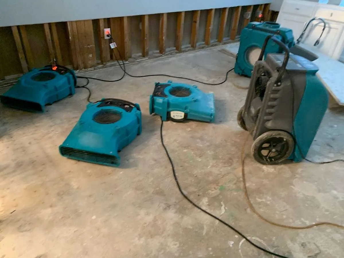 Water Damage Restoration services in Prospect Heights, IL